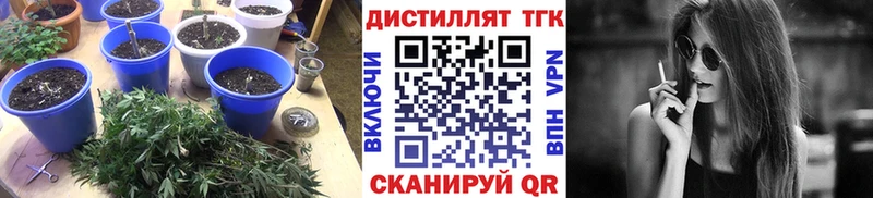 Дистиллят ТГК THC oil  где найти наркотики  Северо-Курильск 